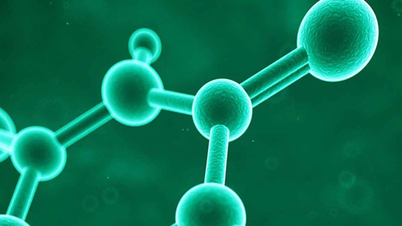 Bioorganic chemistry. Chemical Biology.